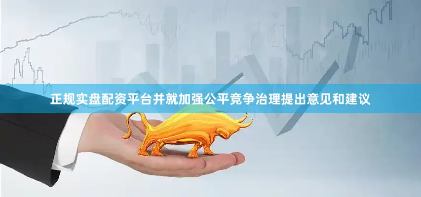正规实盘配资平台并就加强公平竞争治理提出意见和建议