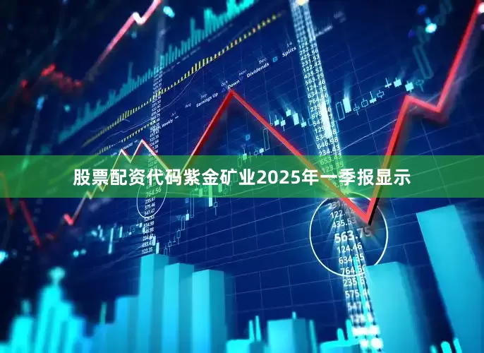 股票配资代码紫金矿业2025年一季报显示