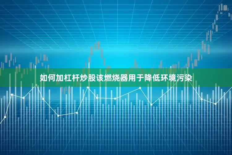 如何加杠杆炒股该燃烧器用于降低环境污染